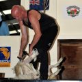 Lister Shearing